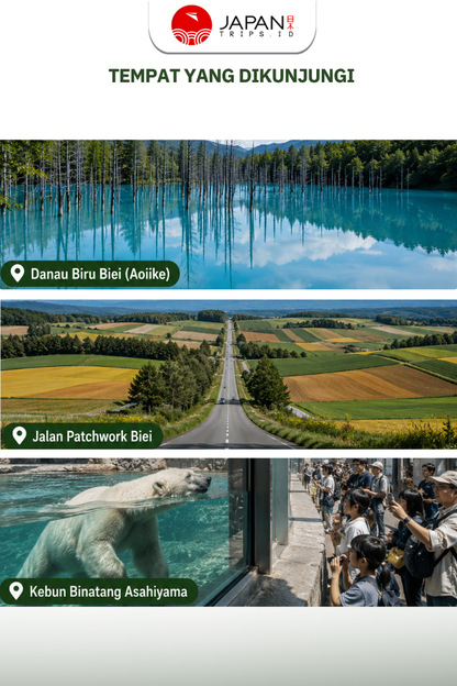 Asahiyama Zoo・Furano Biei・Blue Pond 1 Day Picnic Tour