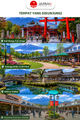 Mt. Fuji, Gotemba Full-Day Bus Tour with Optional Lunch (English Guide)