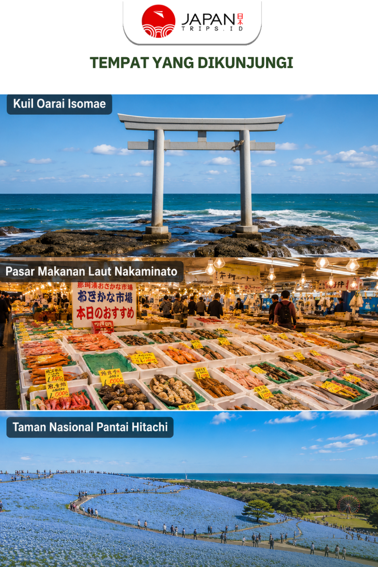 1-Day Tokyo Tour: Hitachi Seaside Park Nemophila, Oarai Shrine & Nakaminato Fish Market