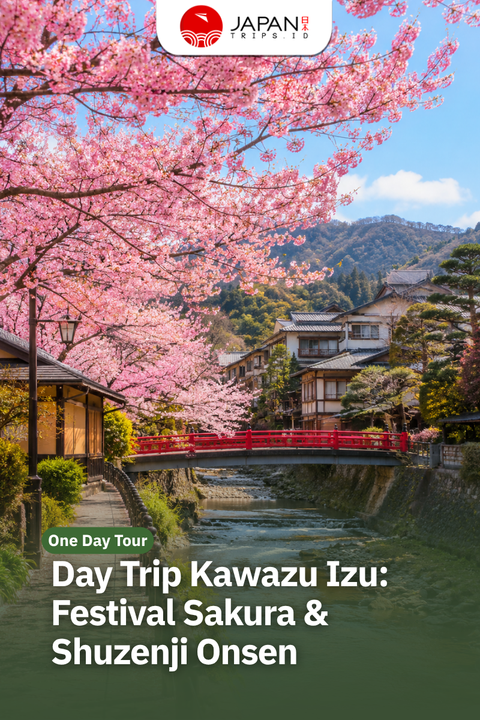 Day Trip Kawazu Izu: Festival Sakura & Shuzenji Onsen | Japan