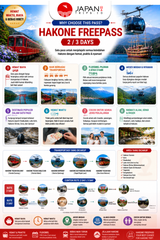 Hakone Freepass 2/3 Days | Shinjuku Odawara Pass