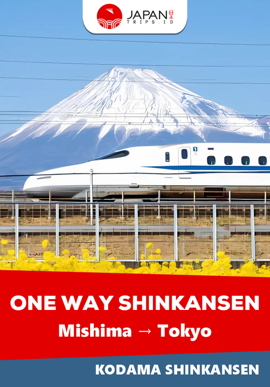 Shinkansen Kodama Mishima to Tokyo