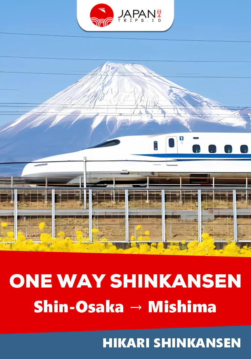 Shinkansen Hikari Shin-Osaka to Mishima