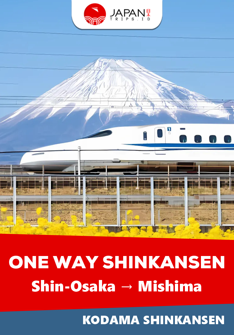 Shinkansen Kodama Shin-Osaka to Mishima