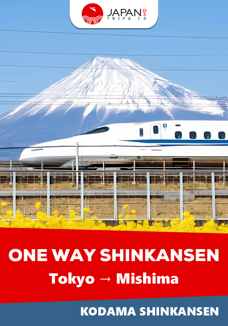 Shinkansen Kodama Tokyo to Mishima