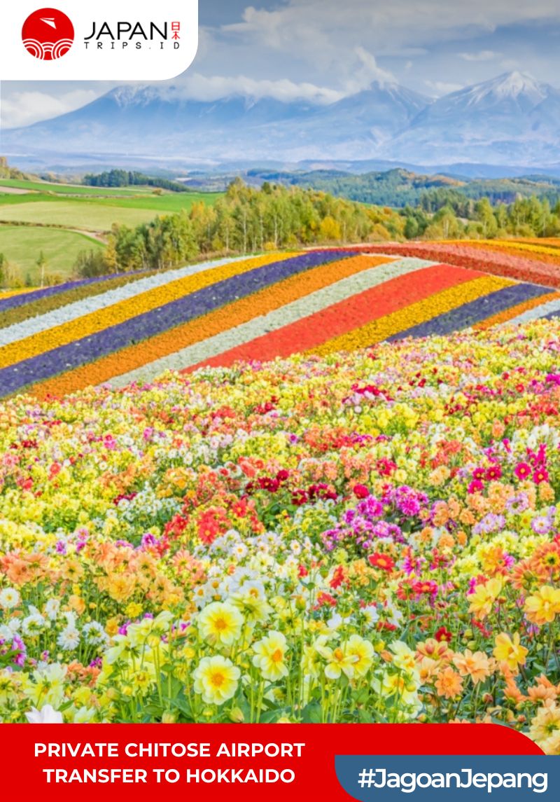 Sewa Mobil di Jepang | Rental Mobil Bandara Chitose ke Pusat Kota Hokkaido