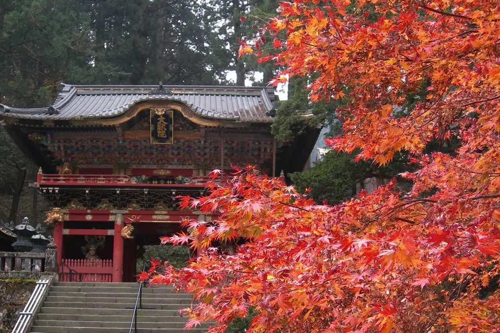 Image Banner