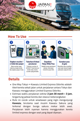 One Way Tokyo ↔  Kawazu Limited Express Odoriko