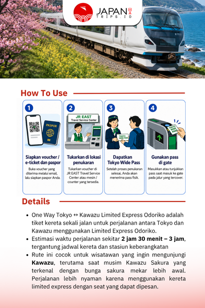 One Way Tokyo ↔  Kawazu Limited Express Odoriko