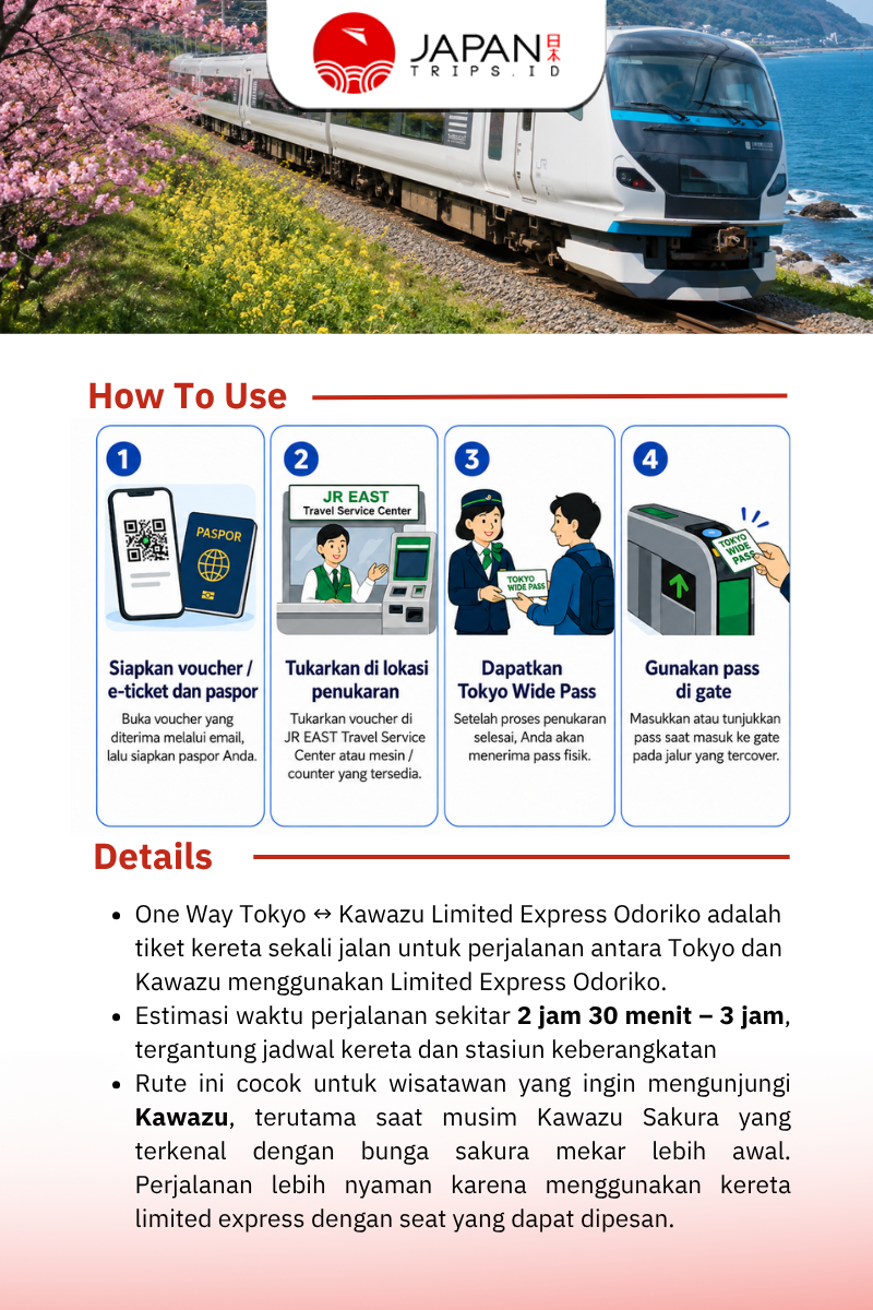 One Way Tokyo ↔  Kawazu Limited Express Odoriko