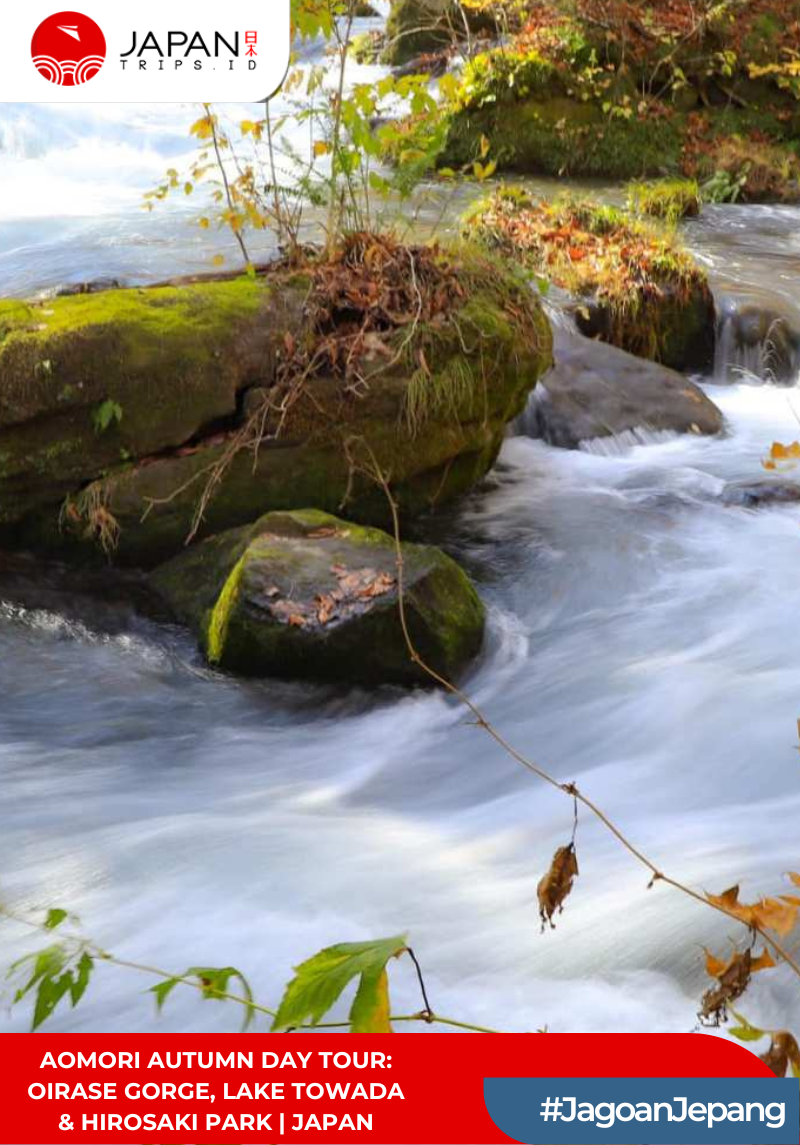 Aomori Autumn Day Tour: Oirase Gorge, Lake Towada & Hirosaki Park | Japan