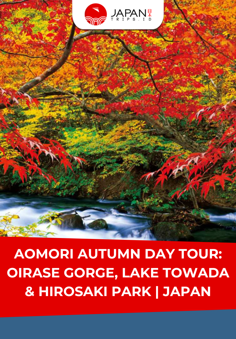 Aomori Autumn Day Tour: Oirase Gorge, Lake Towada & Hirosaki Park | Japan