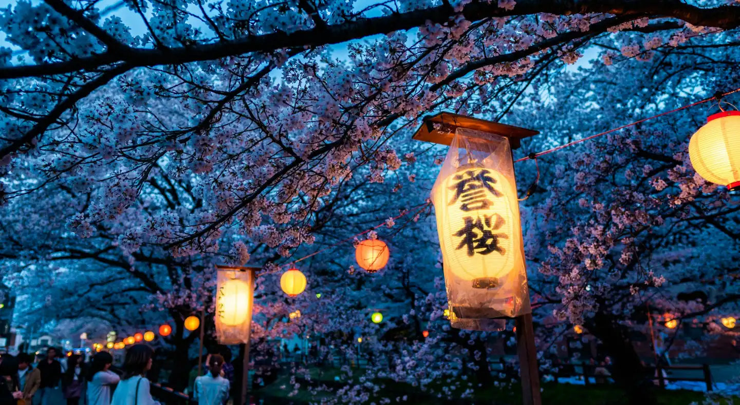 PRIVATE TOUR JEPANG UNTUK TRIP YANG LEBIH NYAMAN DAN PRAKTIS