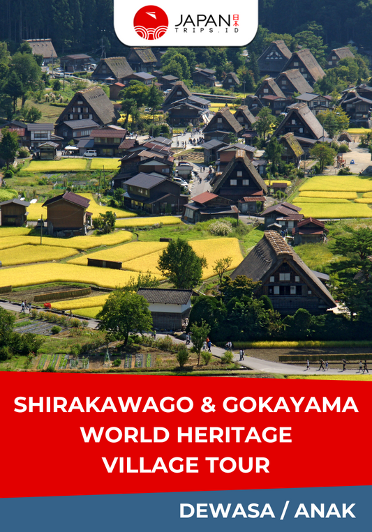 Shirakawago & Gokayama World Heritage Village Tour