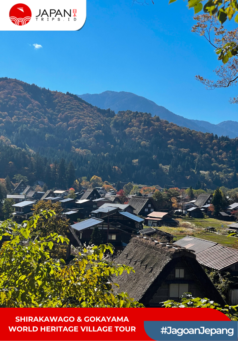 Shirakawago & Gokayama World Heritage Village Tour