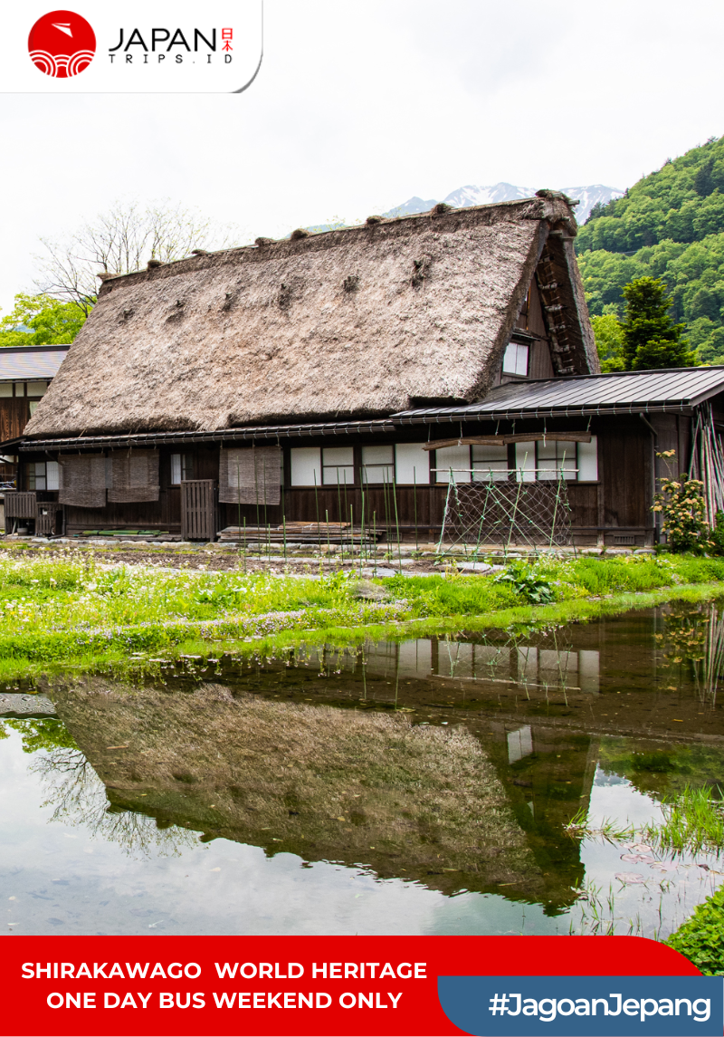 Shirakawago World Heritage One Day Bus Tour Weekend Only