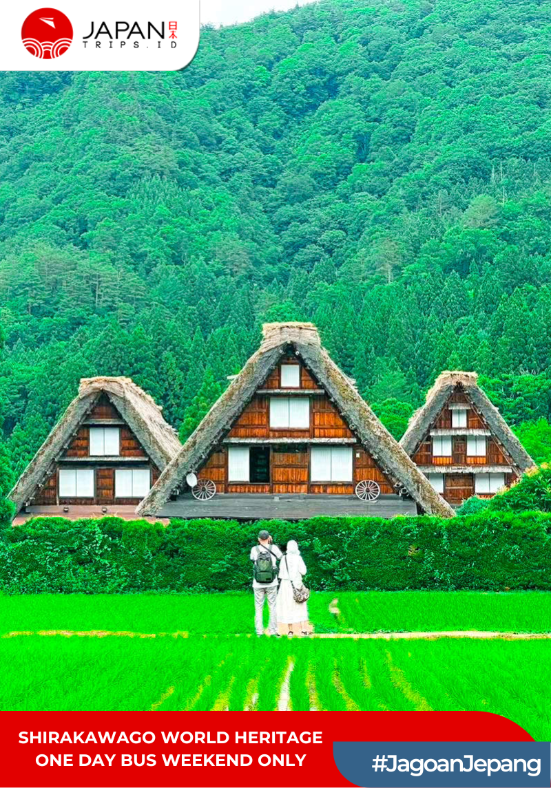 Shirakawago World Heritage One Day Bus Tour Weekend Only