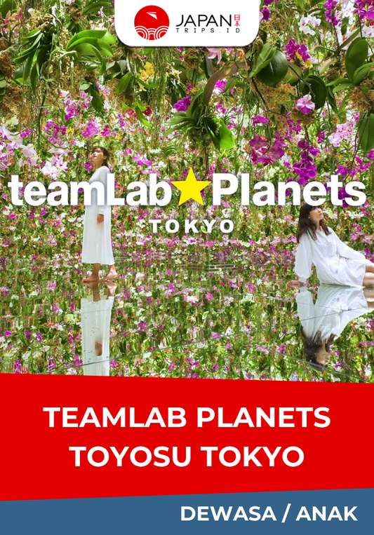 TeamLab Planets Toyosu Tokyo Ticket