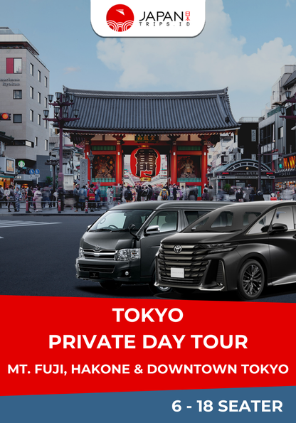 Tokyo Private Day Tour | Mt. Fuji, Hakone & Downtown Tokyo