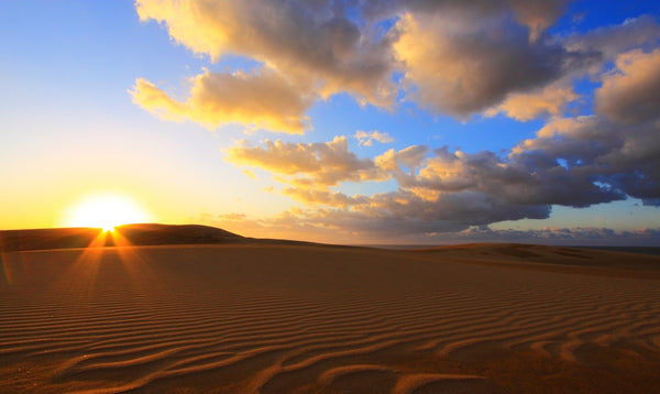 Tottori Sand Dunes | Tottori