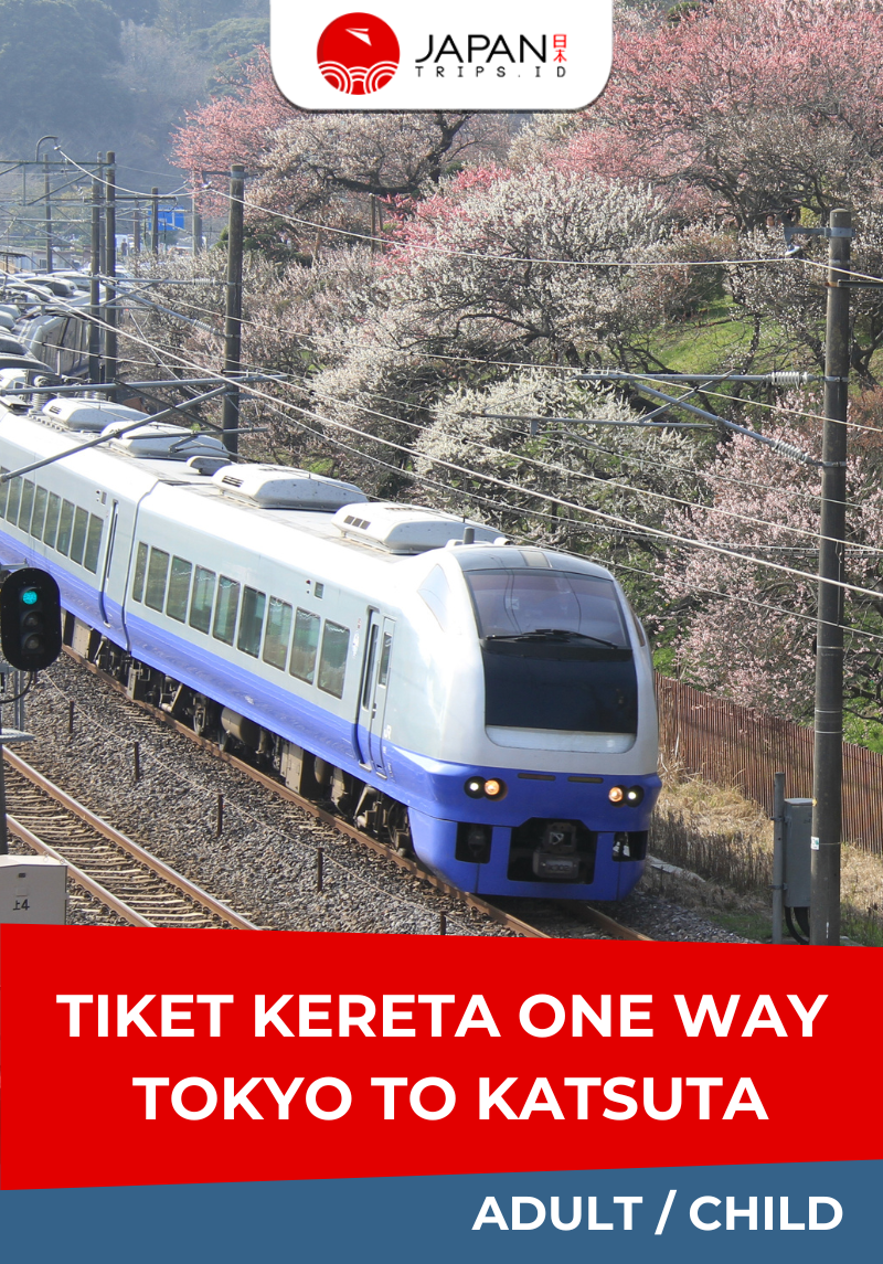 Tiket Kereta One Way Tokyo To Katsuta