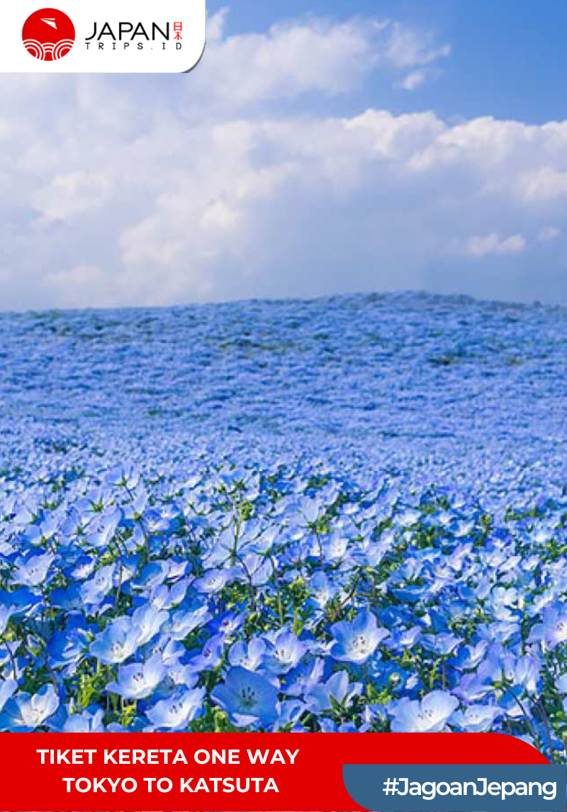 Tiket Kereta One Way Tokyo To Katsuta