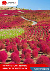 Private Tour / Sewa Mobil Jepang – Hitachi Seaside Park