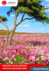 Private Tour / Sewa Mobil Jepang – Hitachi Seaside Park