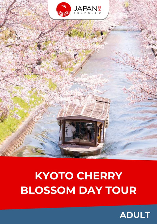 Kyoto Cherry Blossom Day Tour | Tur Bunga Sakura Kyoto
