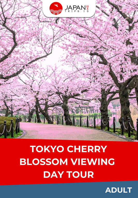 Tokyo Cherry Blossom Viewing Day Tour | Tur Bunga Sakura Tokyo