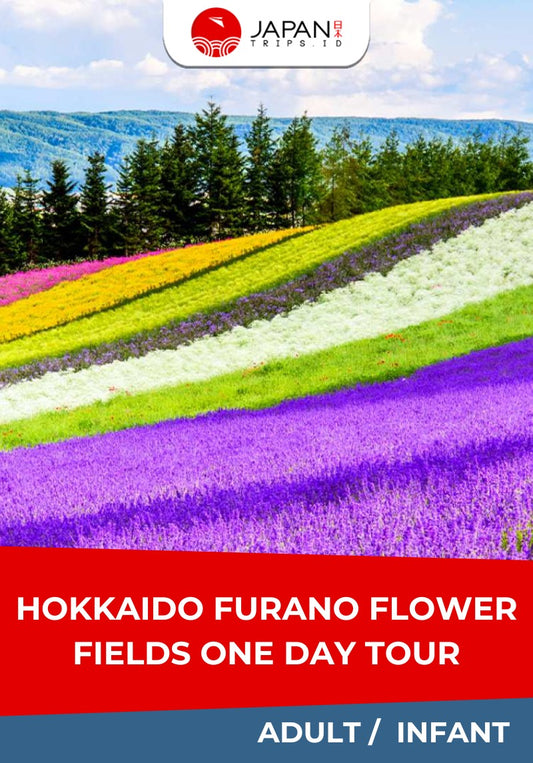 Hokkaido Furano Flower Fields One Day Tour | Tur Satu Hari di Ladang Bunga Furano Hokkaido