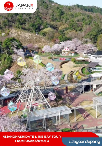 Amanohashidate & Ine Bay Tour From Osaka/Kyoto