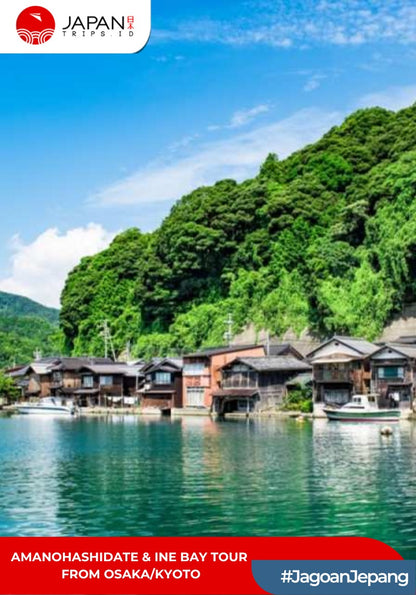Amanohashidate & Ine Bay Tour From Osaka/Kyoto