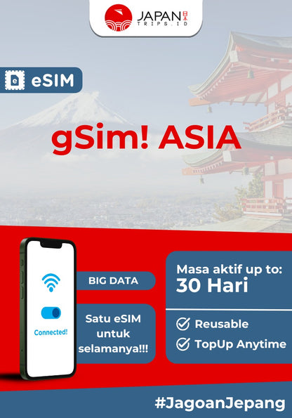 gSim! Asia BIG DATA - Reusable & TopUp Anytime | Japantrips