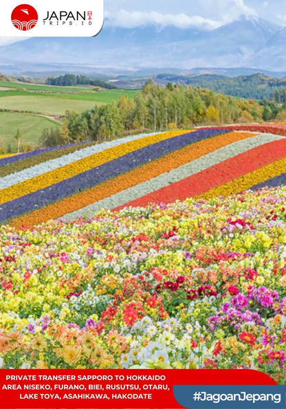 Private Transfer Sapporo To Hokkaido Area Niseko, Furano, Biei, Rusutsu, Otaru, Lake Toya, Asahikawa, Hakodate