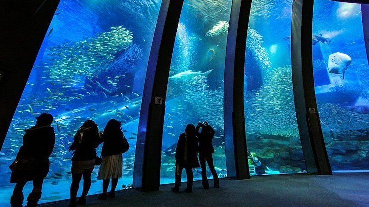 Yokohama Hakkeijima Sea Paradise