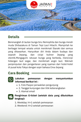 1-Day Tokyo Tour: Hitachi Seaside Park Nemophila, Oarai Shrine & Nakaminato Fish Market