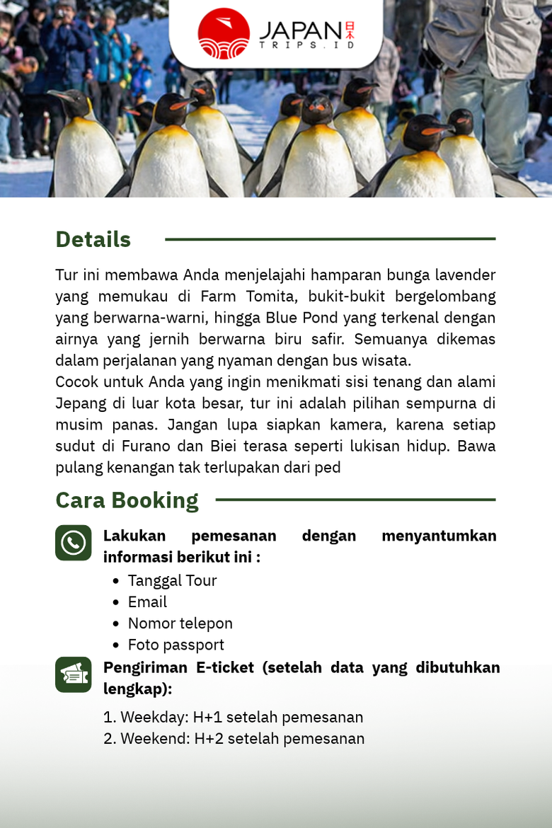 Hokkaido Furano Day Tour | Asahiyama Zoo, Shirogane Blue Pond, Shirahige Falls