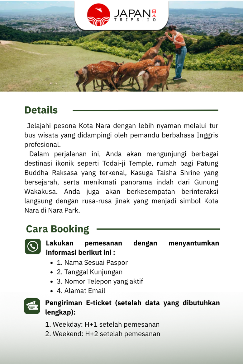 English Guided Sightseeing Bus Perfect Nara Park Tour | Tur Taman Nara
