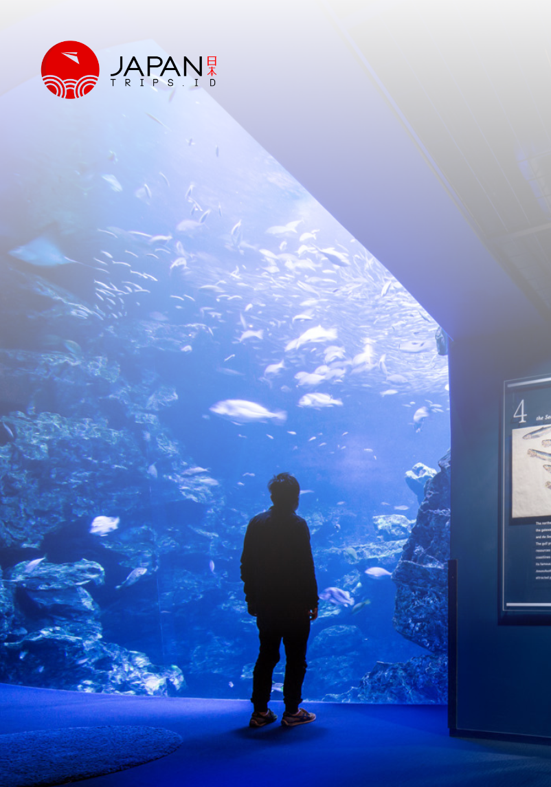 Kyoto Aquarium Admission Ticket | Tiket Kyoto Aquarium