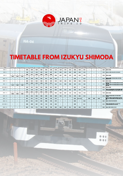 Tiket Kereta JR Odoriko Tokyo Izukyu-Shimoda | One Way Ticket