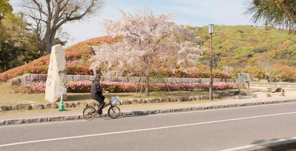 Ehime Prefecture