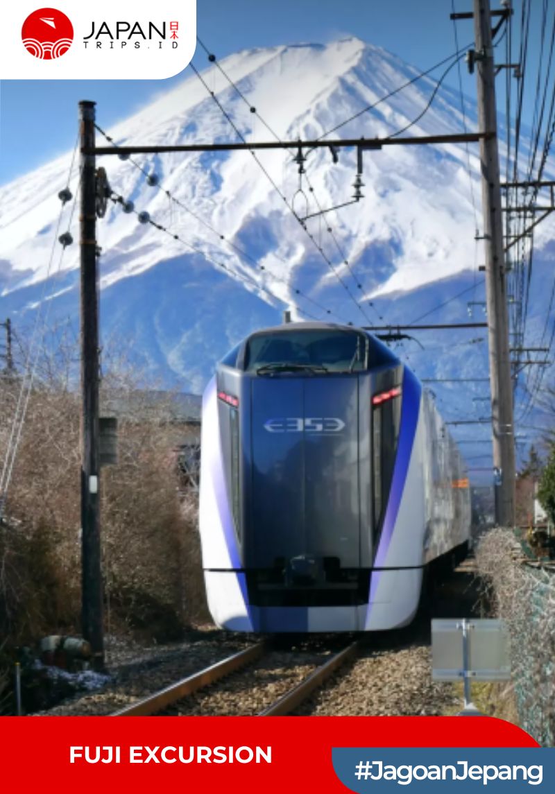 Fuji Excursion Train Spring Fuji Excursion Ticket | Tiket Kereta Jepang Shinjuku Fuji Kawaguchiko ...