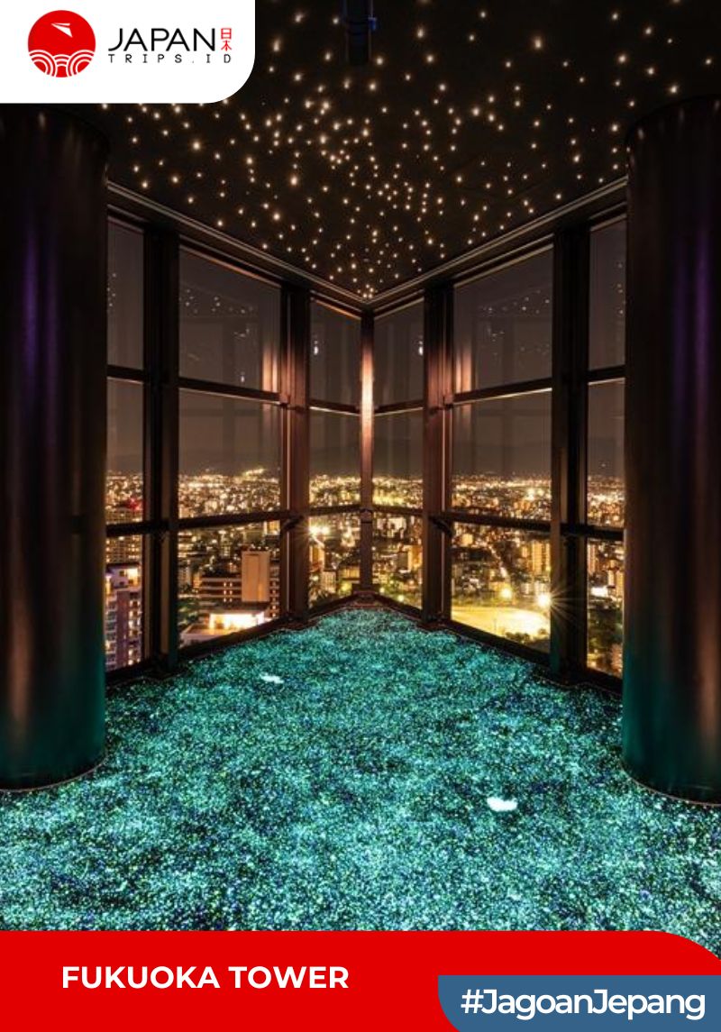 Fukuoka Tower | Fukuoka Tower Tickets