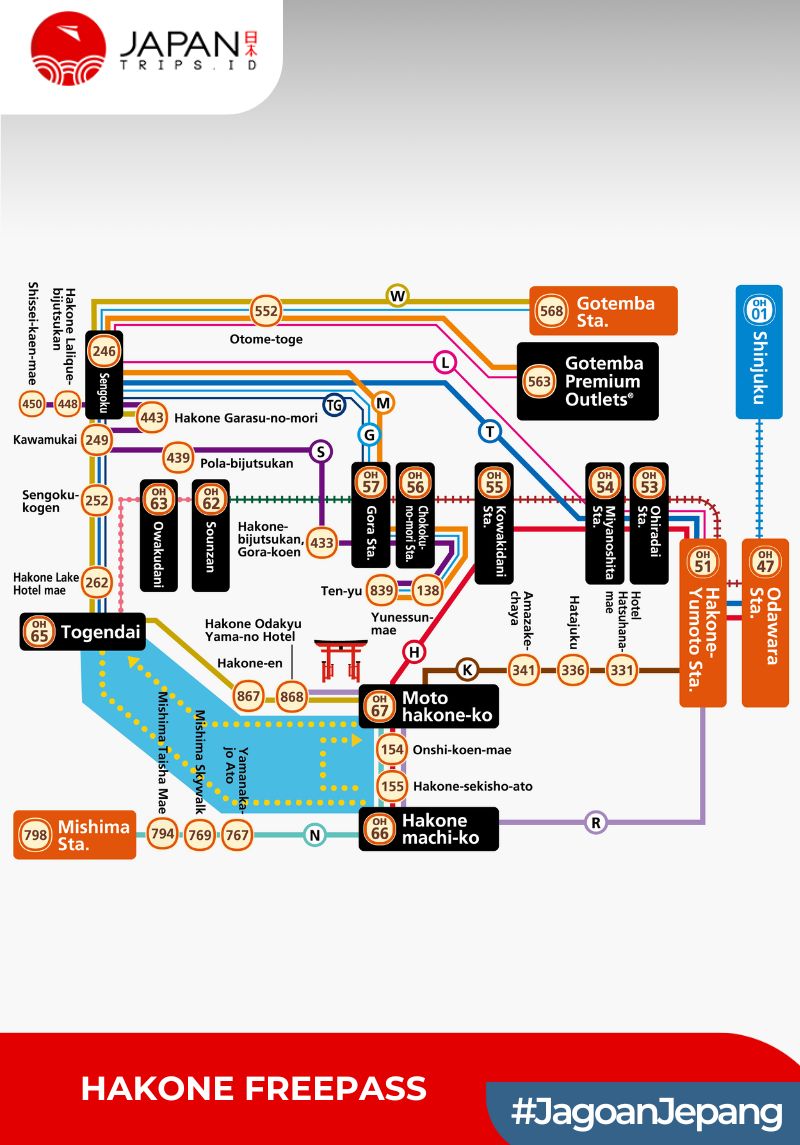 Hakone Freepass 2/3 Days | Shinjuku Odawara Pass