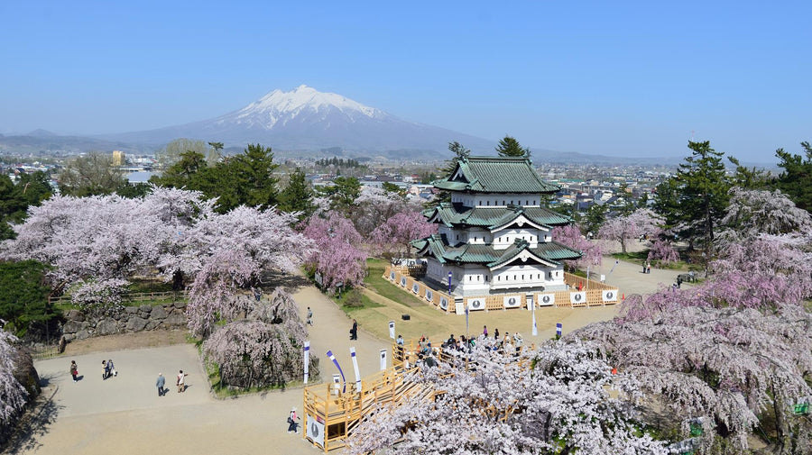 Hirosaki City Travel Guide