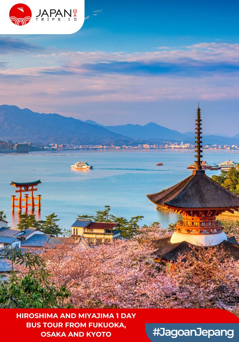 Hiroshima and Miyajima 1 Day Bus Tour from Fukuoka, Osaka and Kyoto