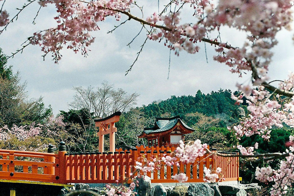 Image Banner