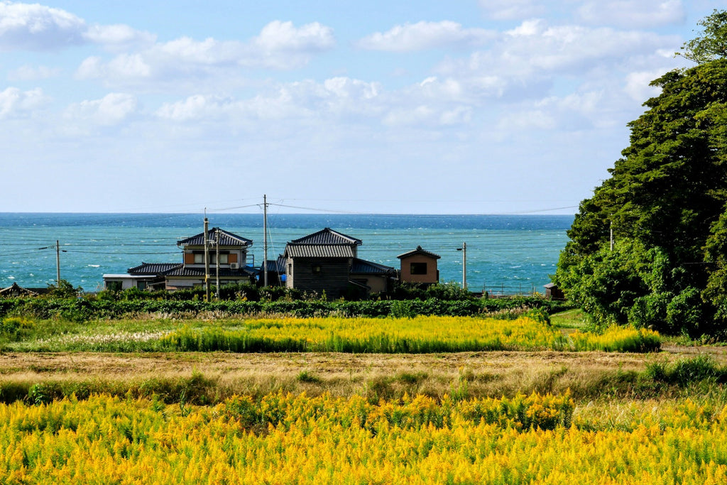 Image Banner