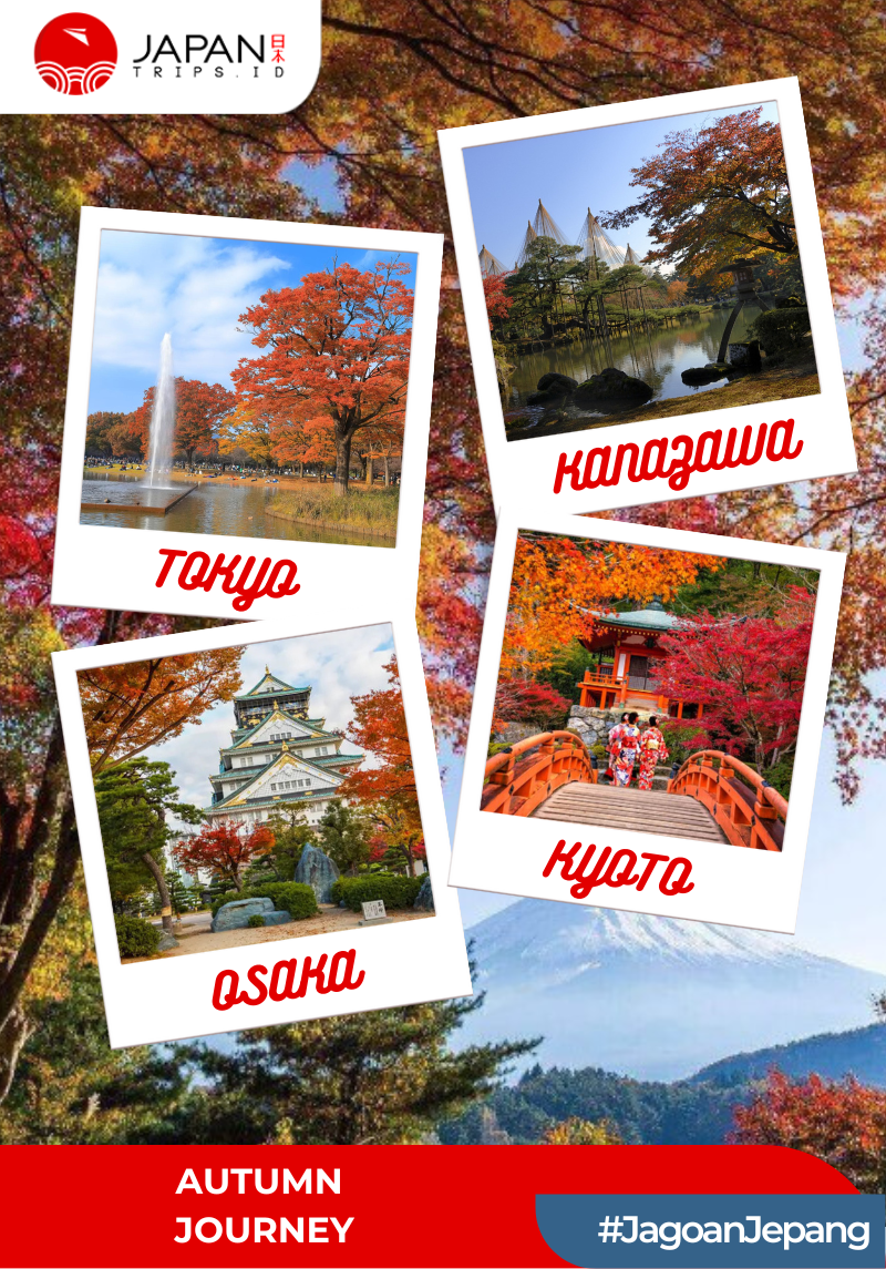 Japan Xperience Autumn Journey | 7D6N All in